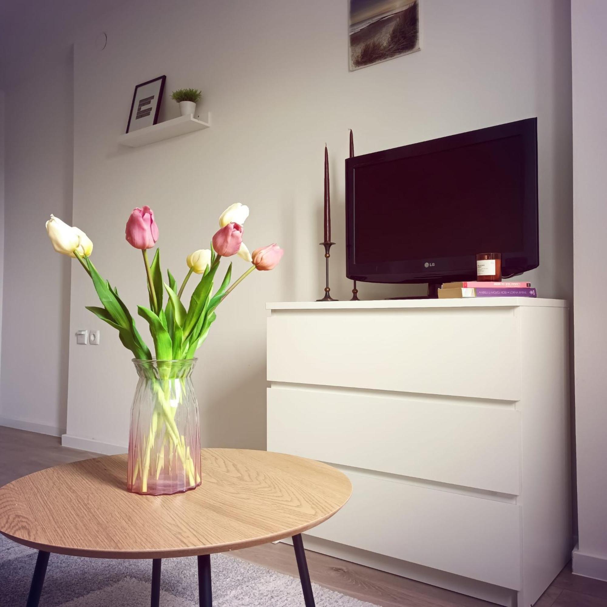 Modern Studio Near City Center Ζάγκρεμπ Εξωτερικό φωτογραφία